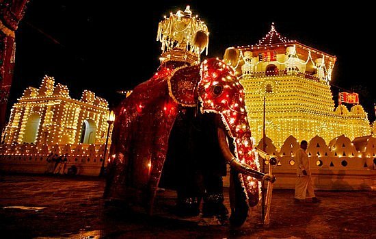 Kandy Esala Perahera 2026: The Ultimate Guide to Asia's Grandest Cultural Pageant